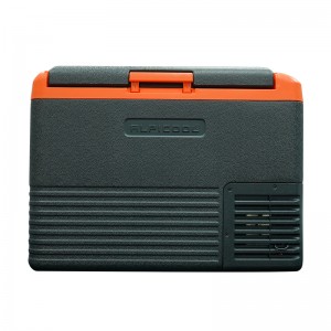 Car Refrigerator-Reefer Frozen Mini