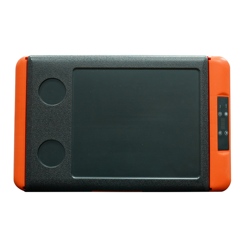 Car Refrigerator-Reefer Frozen Mini