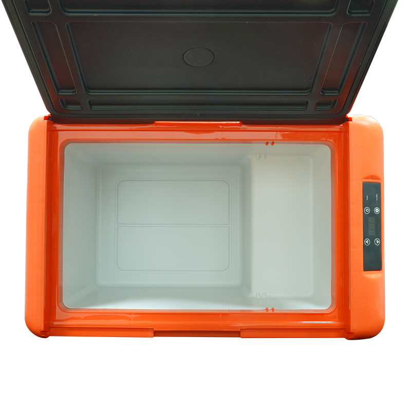 Car Refrigerator-Reefer Frozen Mini