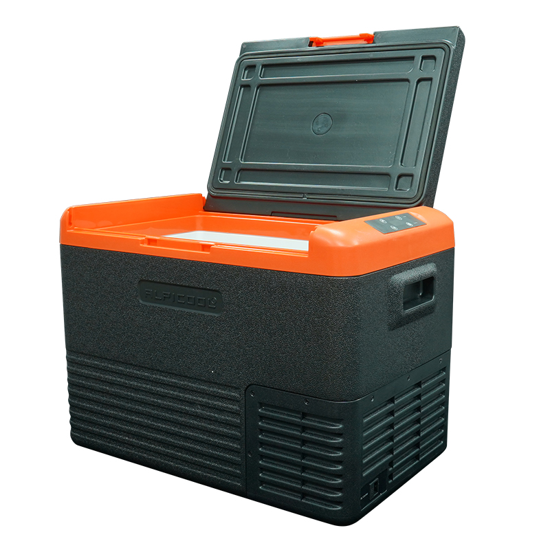 Car Refrigerator-Reefer Frozen Mini