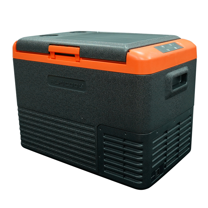 Car Refrigerator-Reefer Frozen Mini